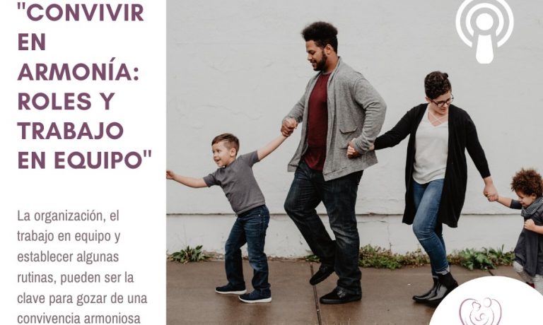 6. Roles y trabajo en equipo