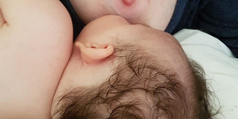 lactation-2065440_1280